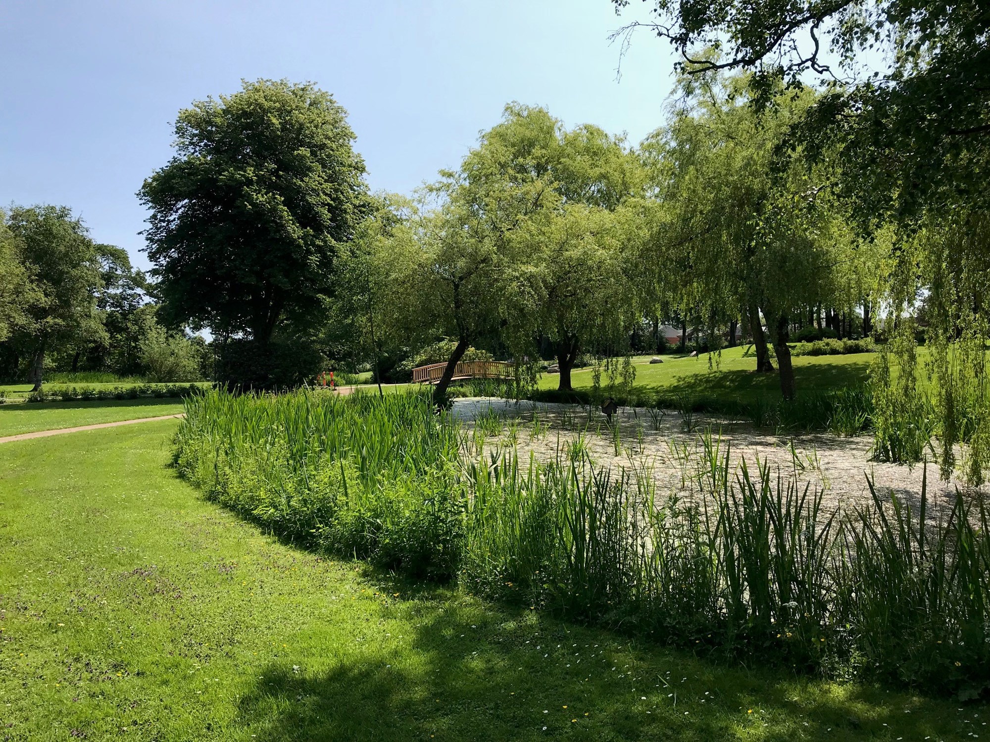 Park med sø