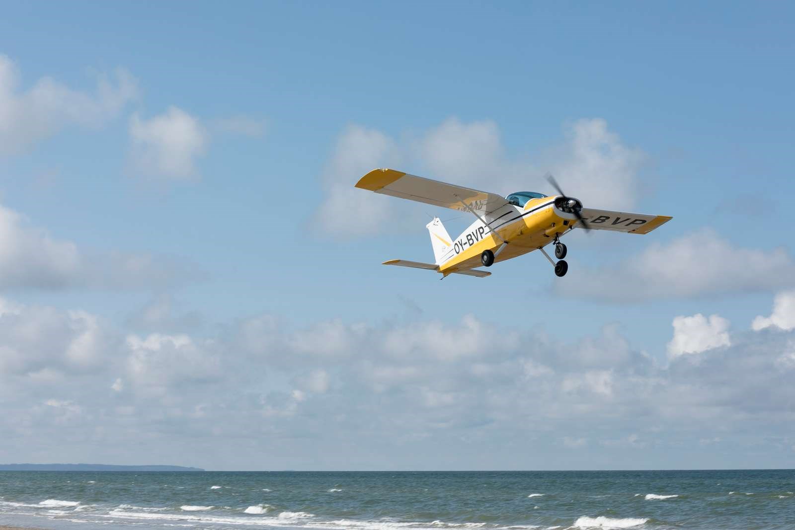 Lille fly lander på stranden