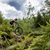 Mountain biker i skoven