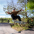 Skateboarder på rampen