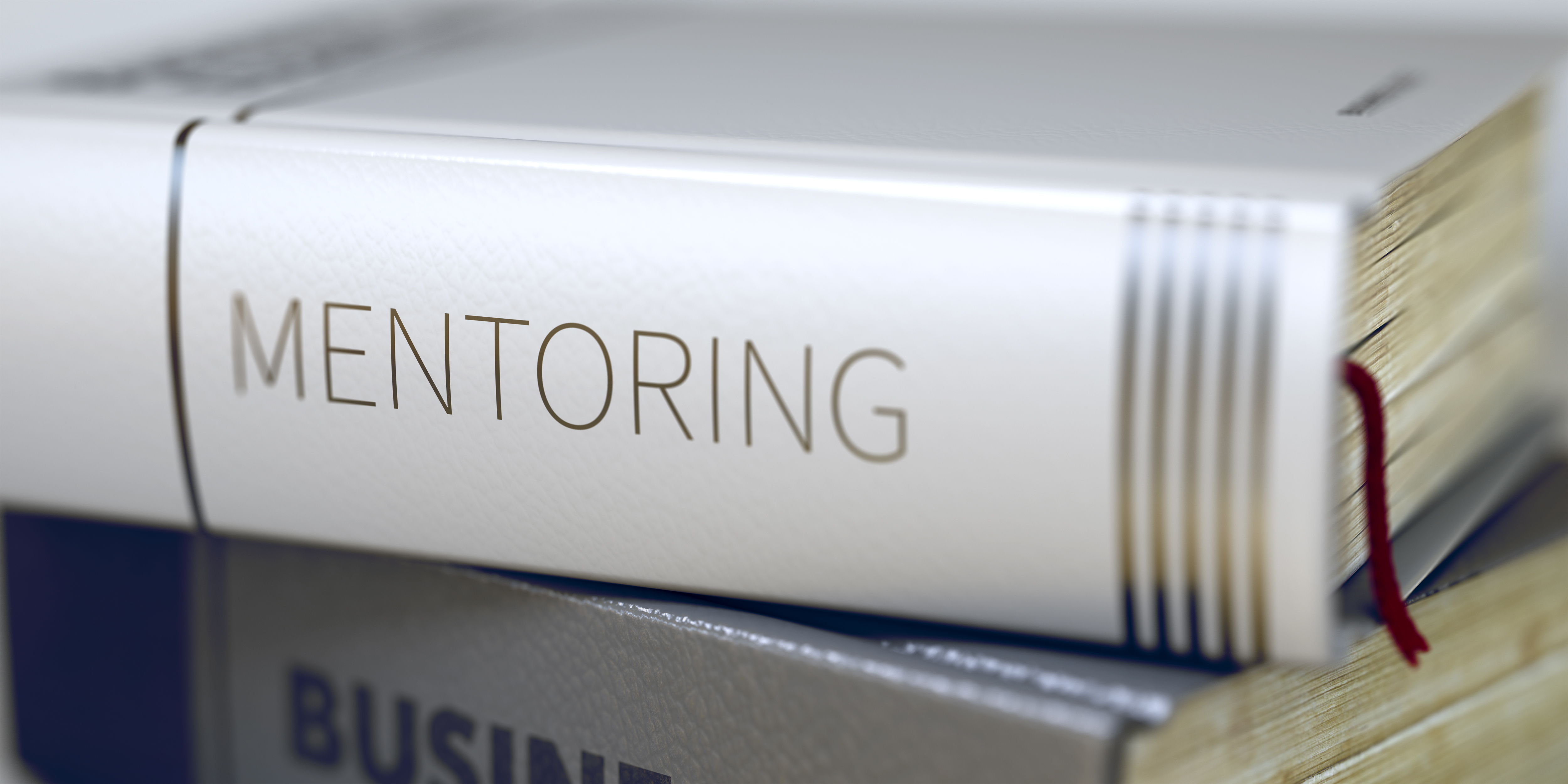 Mentoring bog
