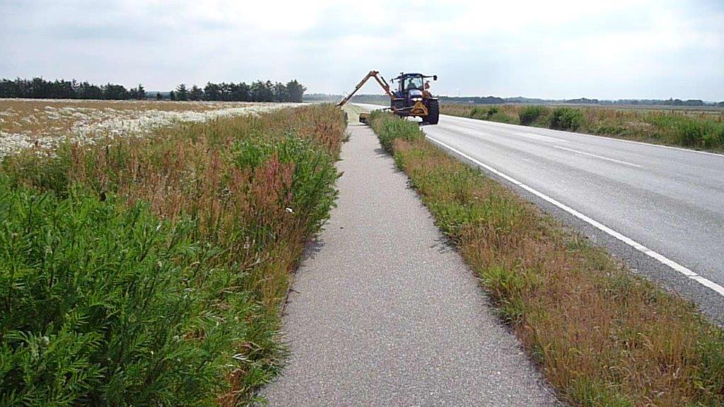 Beskæring af bevoksning i vejkant