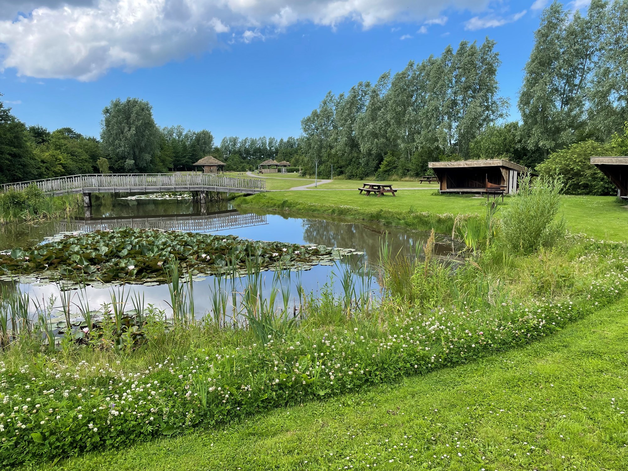 Idyllisk parkområde