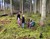 Familie i skoven