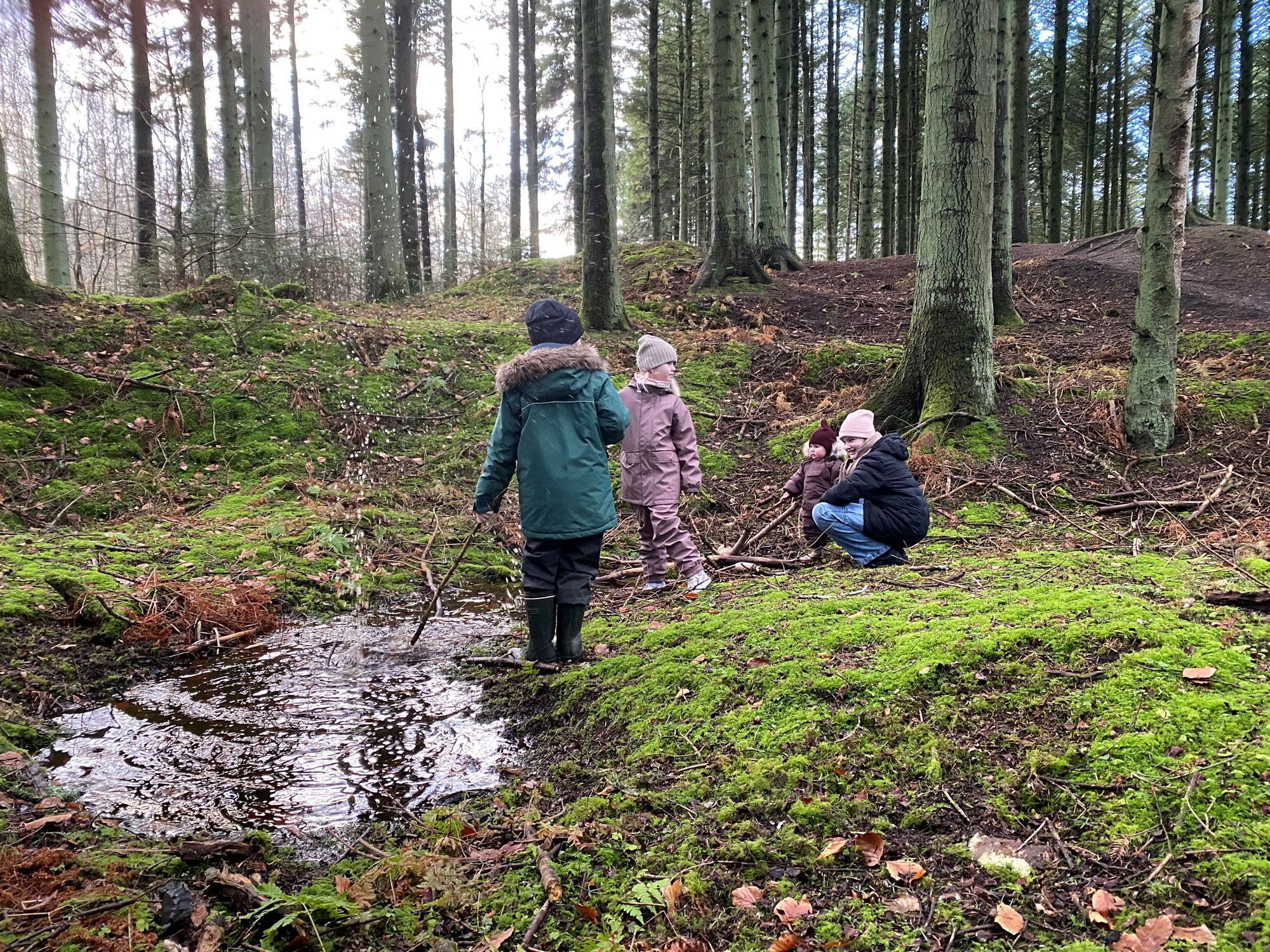 Familie i skoven