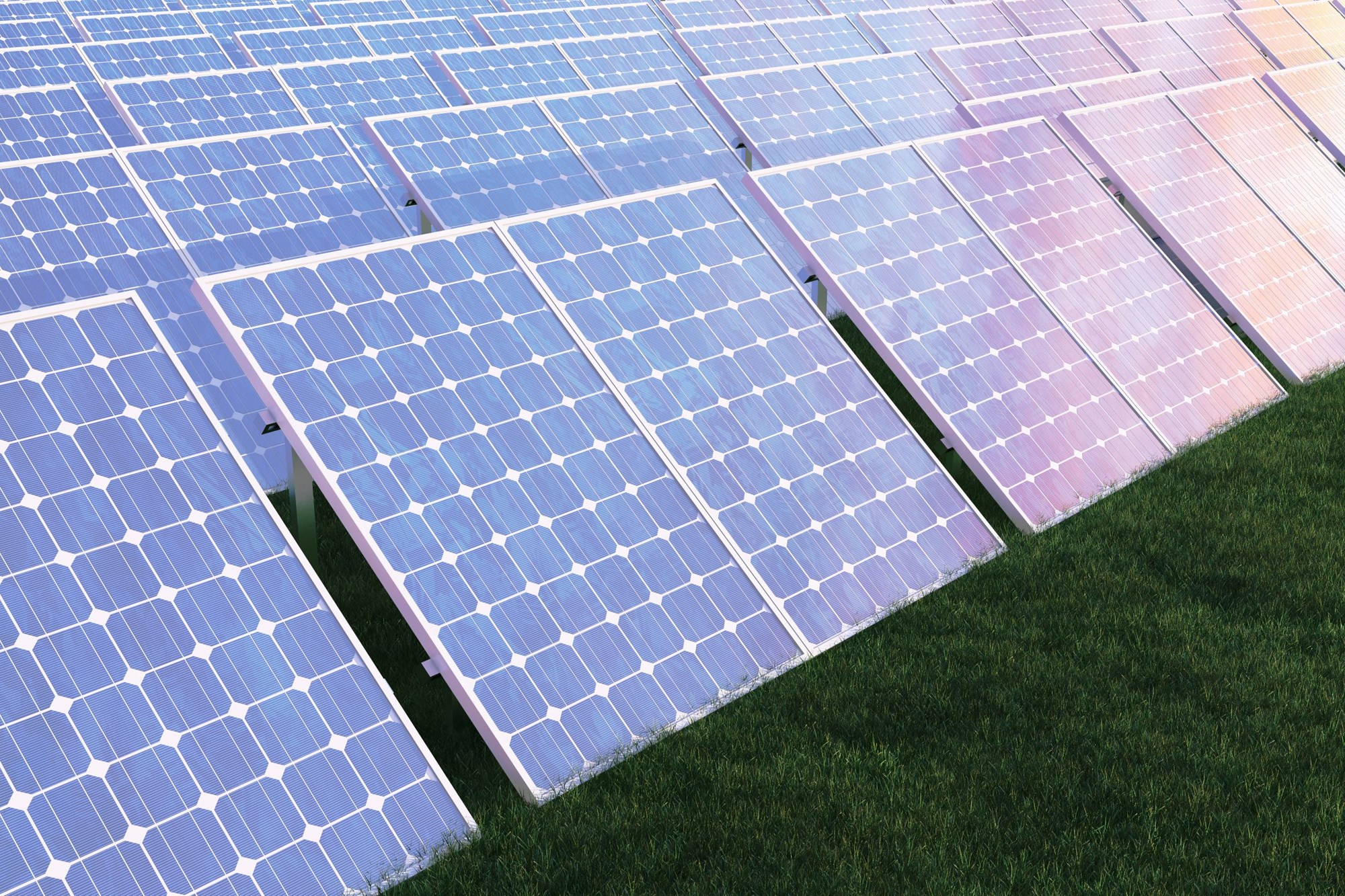 Solceller på græsmark