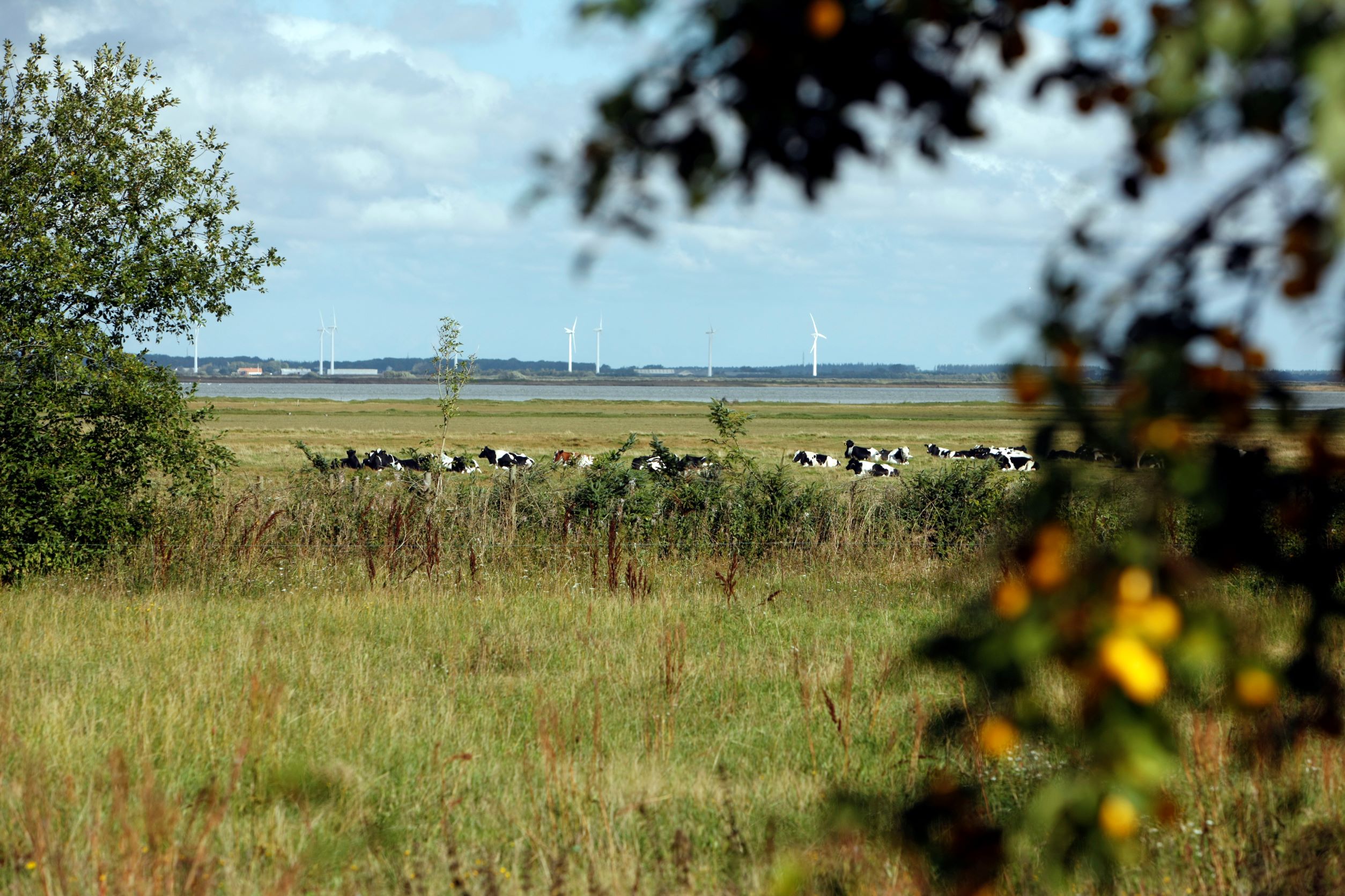 udsigtsbillede natur