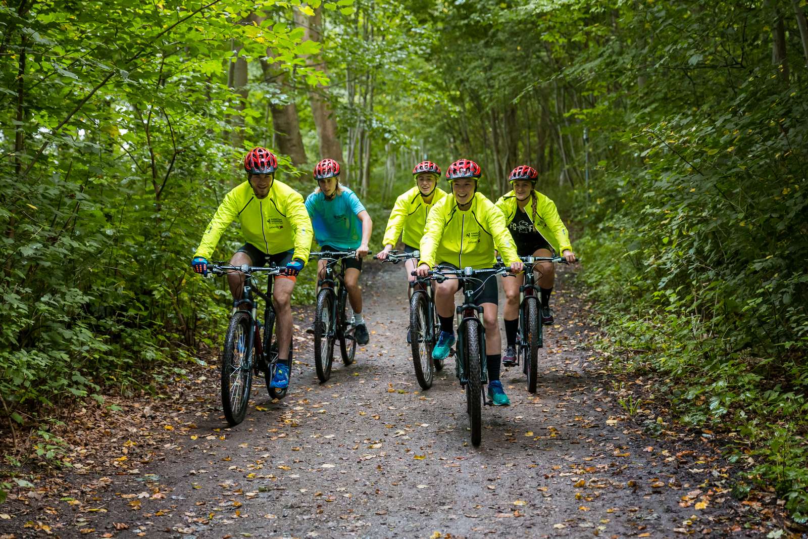 Unge cykler i skov