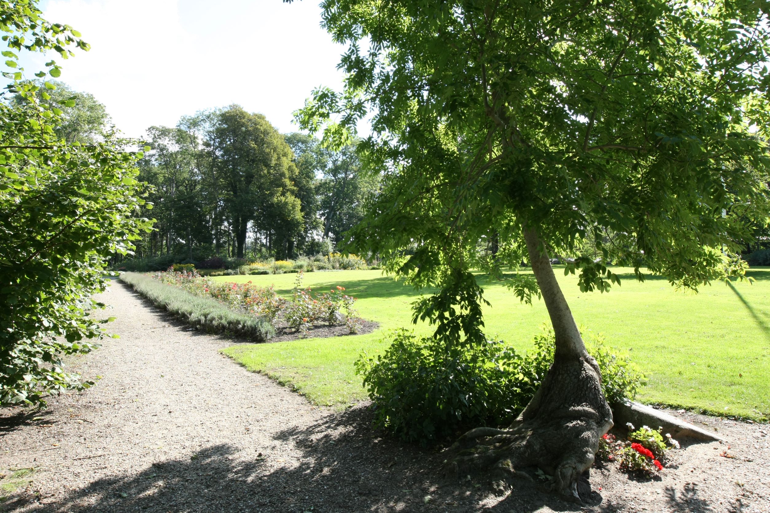 Park