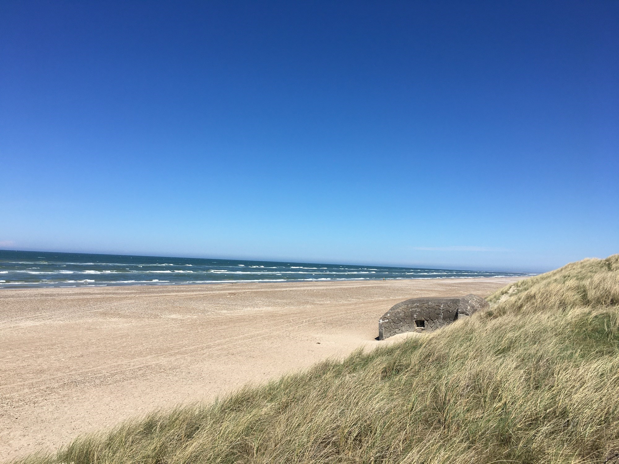 Strand med bunker og klitter
