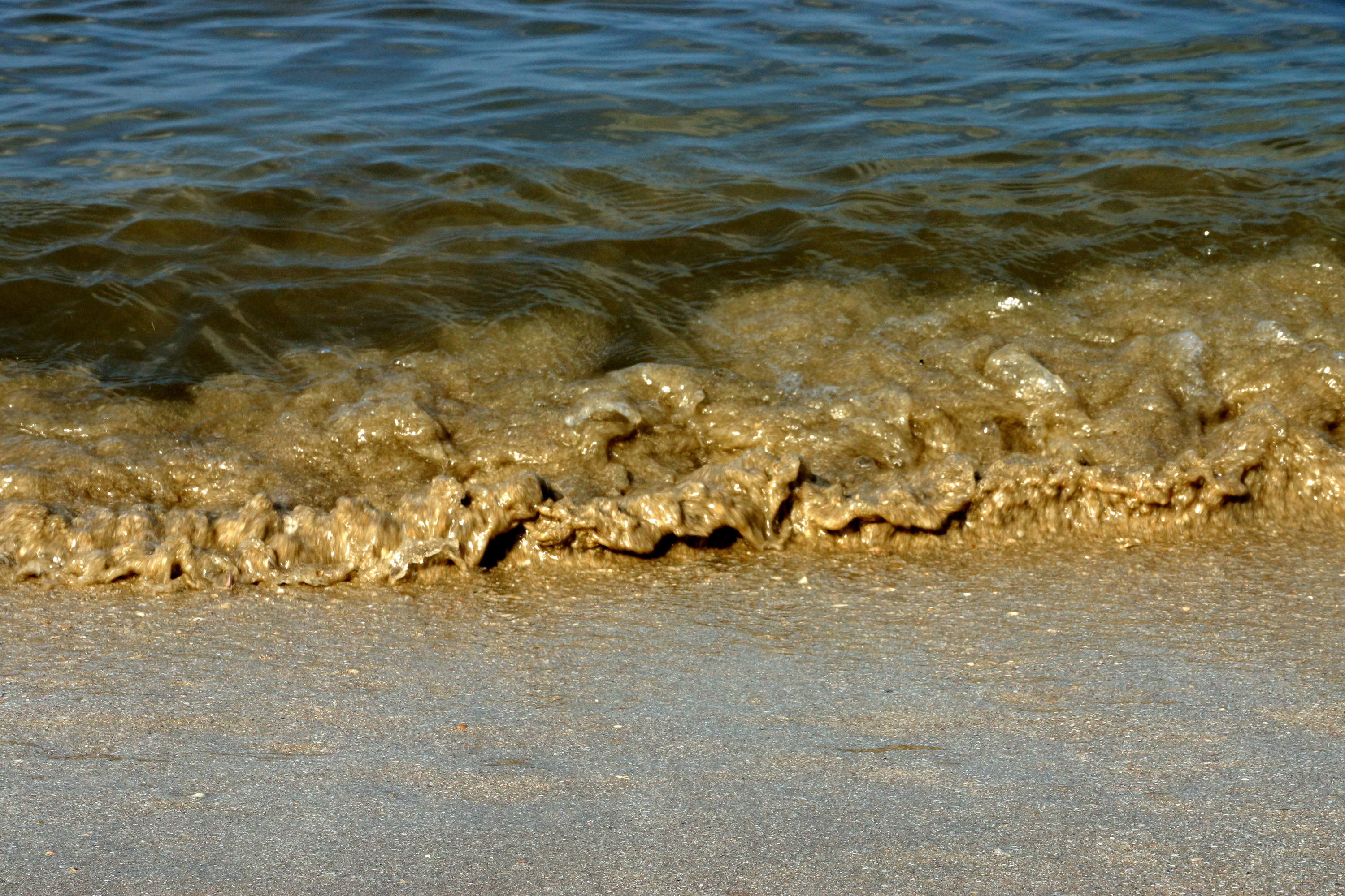Vandkanten ved stranden
