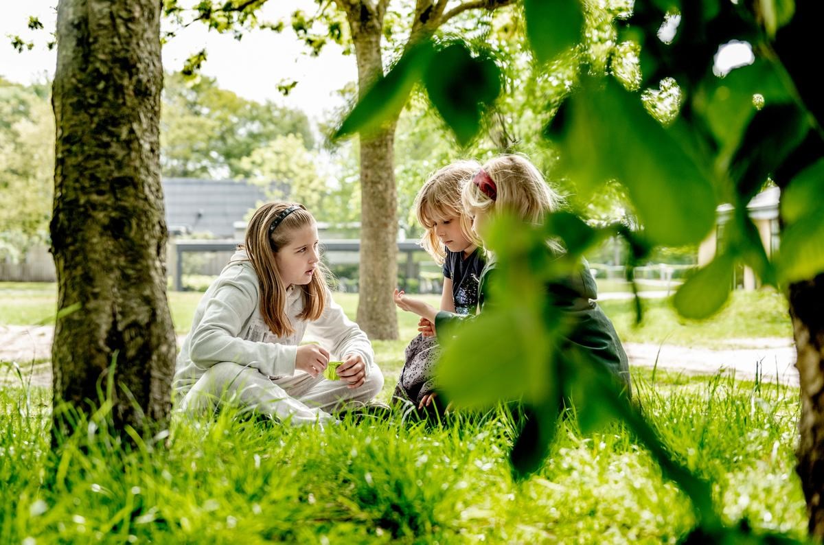 Skolebørn nyder naturen