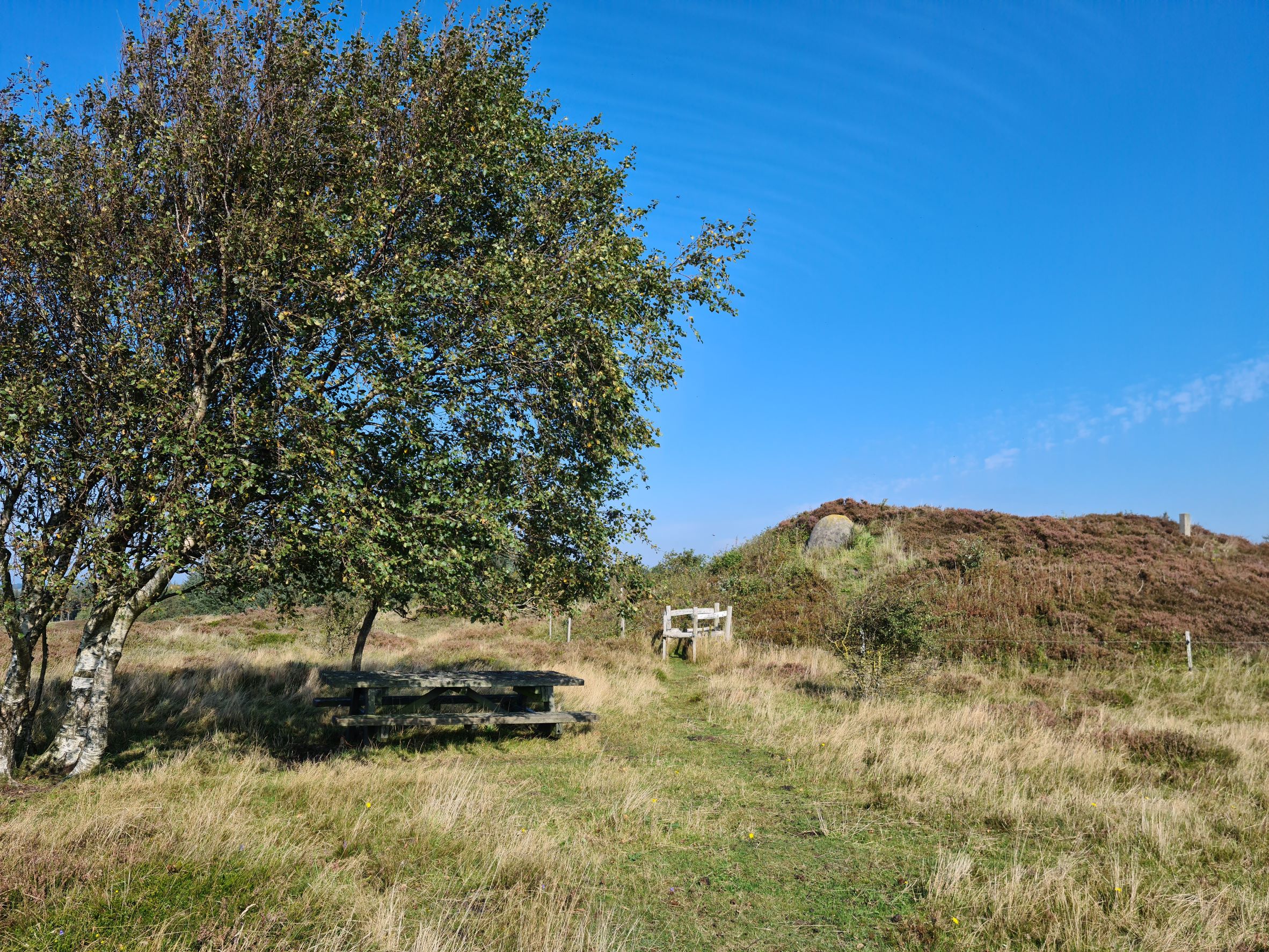 Natur billede