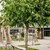 Legeplads på Kaas Skole