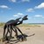 Skulptur på Slettestrand (Krabben)