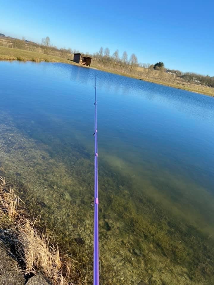 Fiskestang