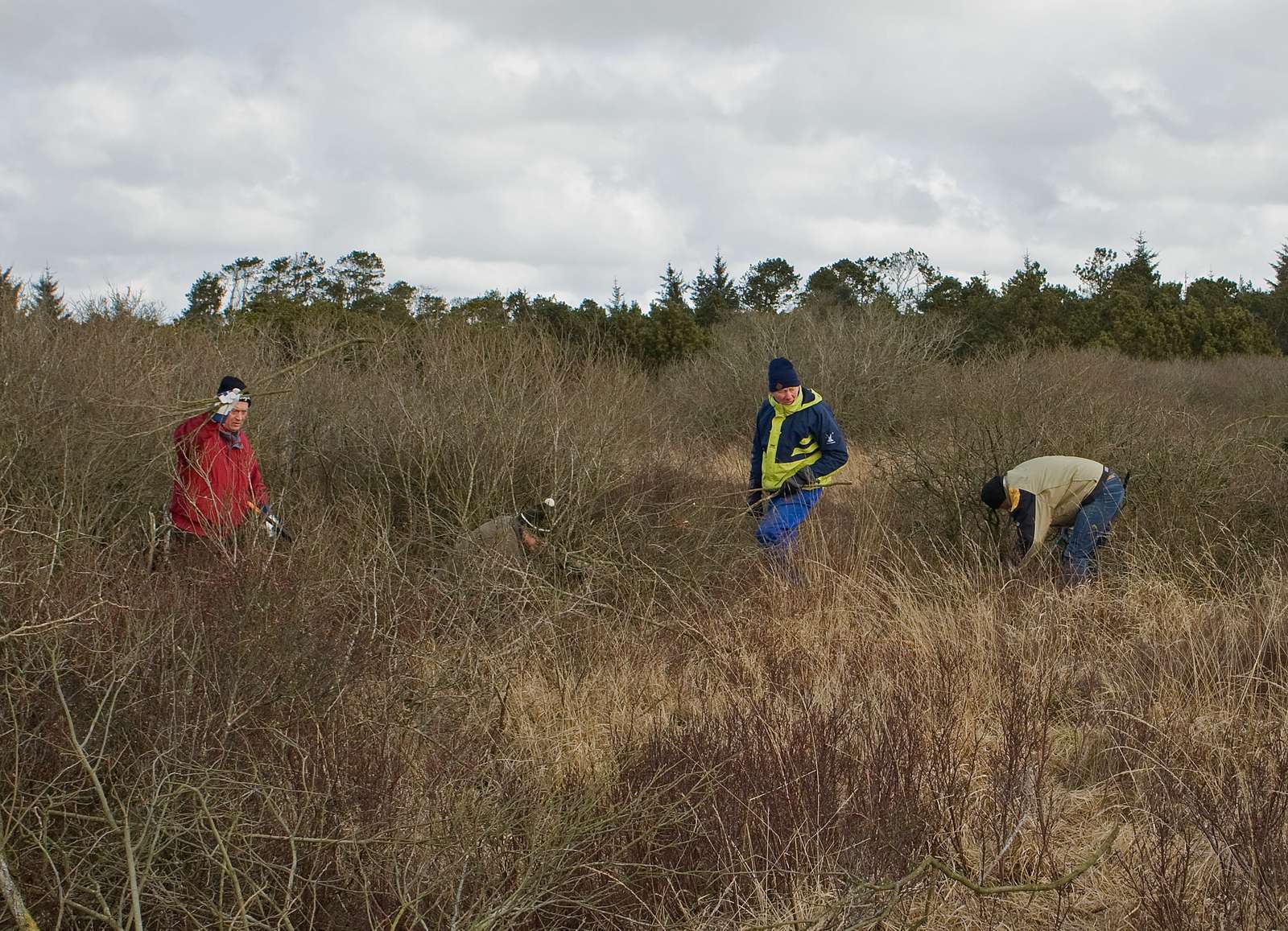 Naturplejere i arbejde