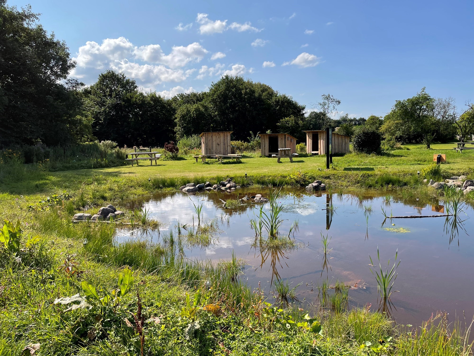 Idyllisk parkområde med sø