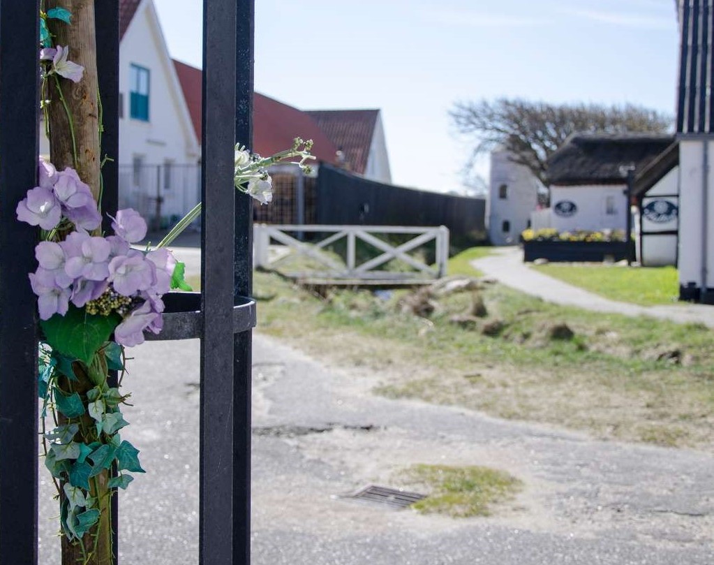 Bæk i Blokhus