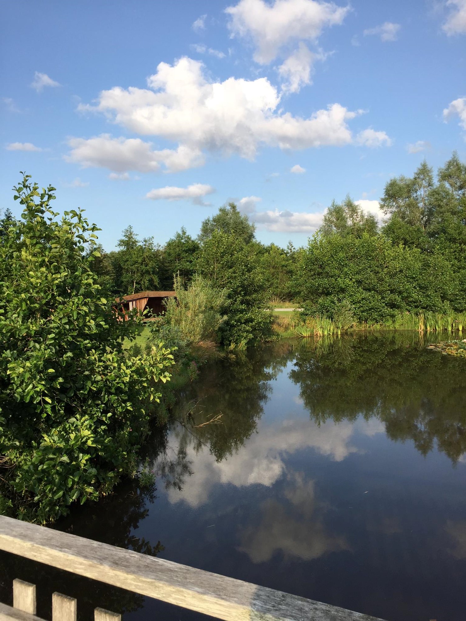 Park med sø
