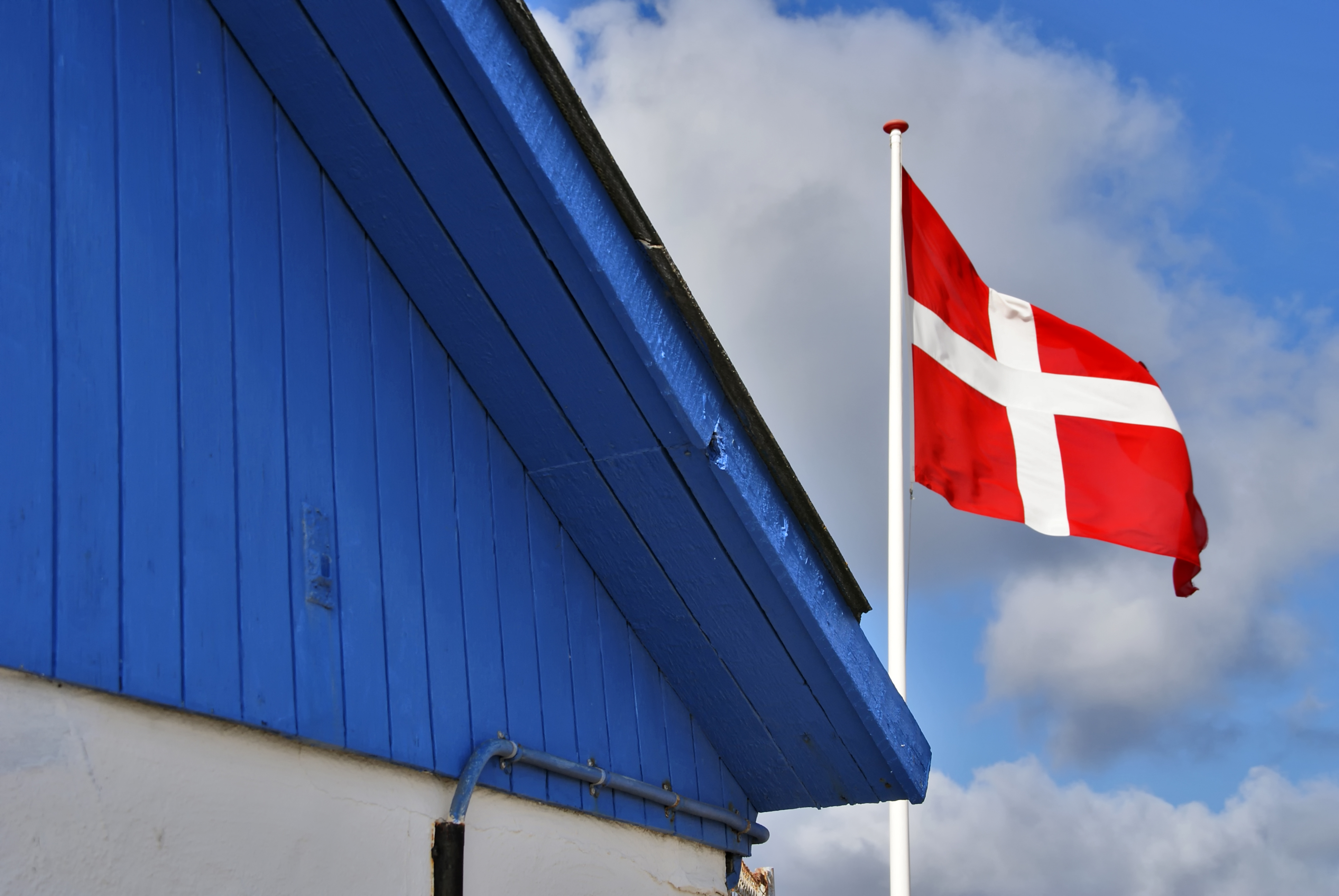 Det danske flag